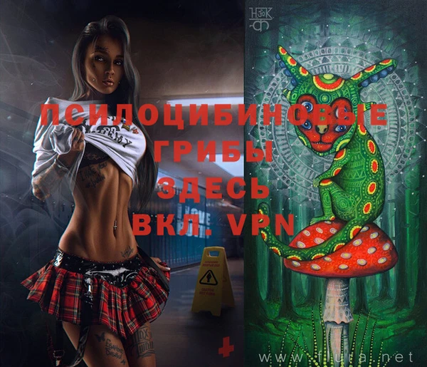 PSILOCYBIN Абинск