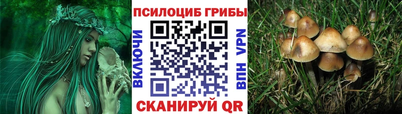 кракен   Усинск  Галлюциногенные грибы GOLDEN TEACHER 